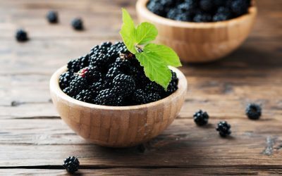 Coacăzele negre, aliate în lupta cu grăsimea