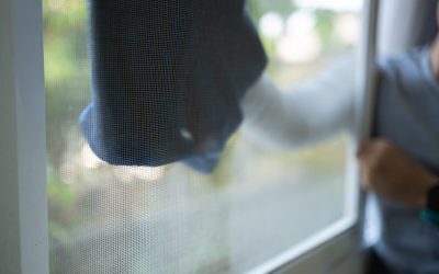 Plasă curată fără demontare: Trucul casnic care te scapă de praf