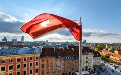 Pumă în apropiere de Varșovia, vânători în alertă