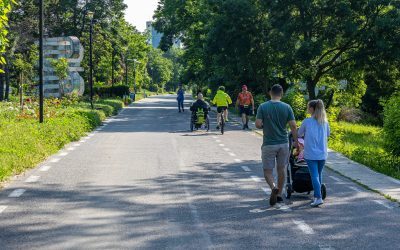 Arbori dați dispăruți: Primăria să audă vocile oamenilor