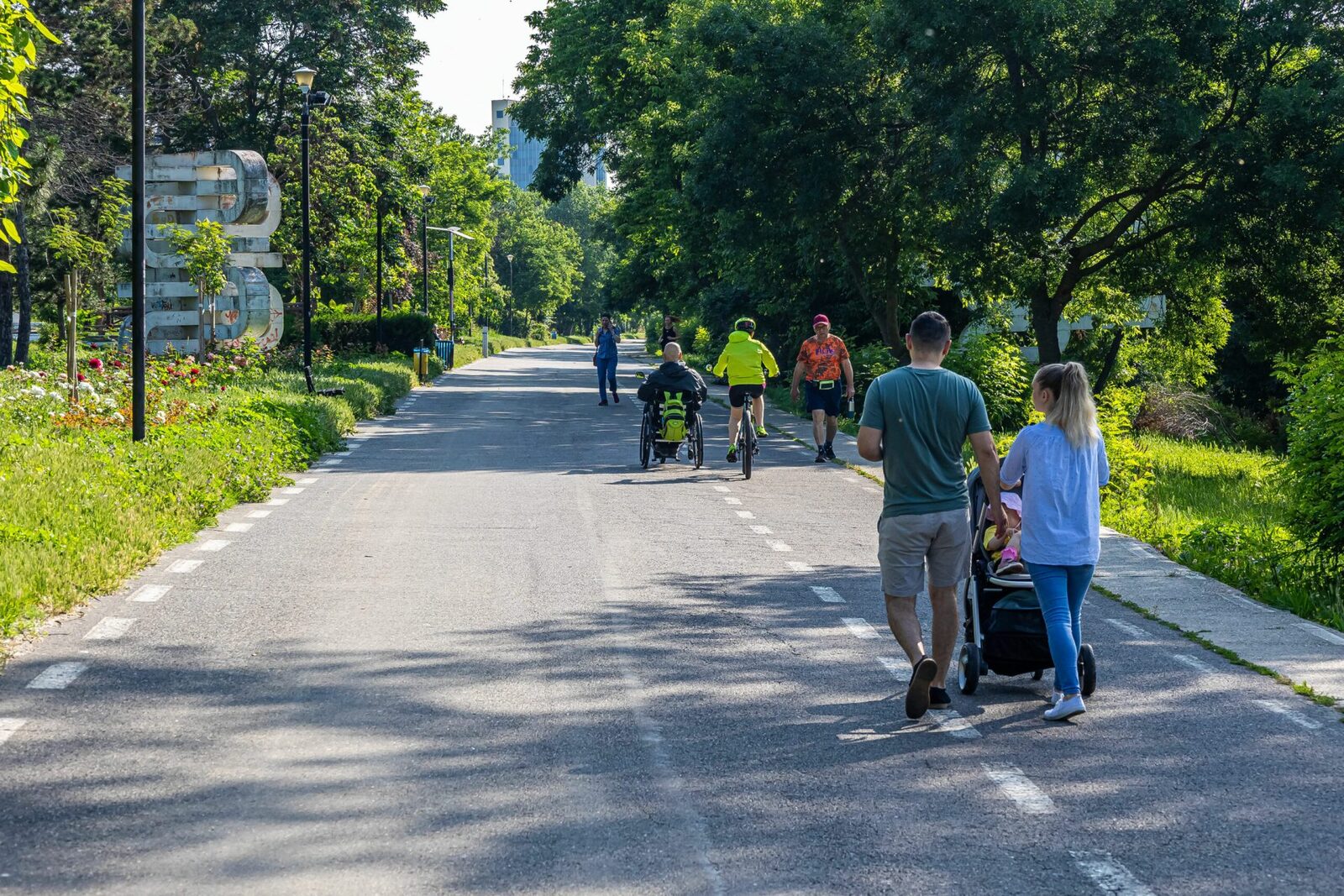 Arbori dați dispăruți: Primăria să audă vocile oamenilor