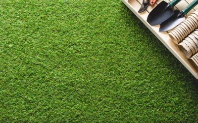 Caniculă! Peluza ta, galbenă? Salvarea ei, simplă, fără replantare