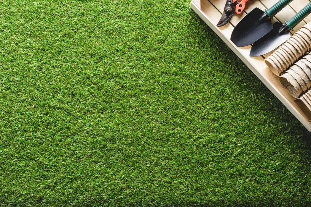Caniculă! Peluza ta, galbenă? Salvarea ei, simplă, fără replantare