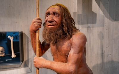 Neanderthalienii ne-au dat gena-minune pentru mușchi, dar puțini o au