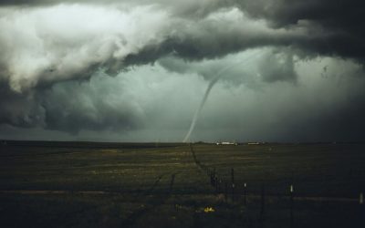România, sub asalt: August aduce caniculă extremă