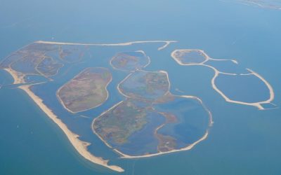 Olanda: 37 de milioane tone de lac, acum insule cu mii de păsări
