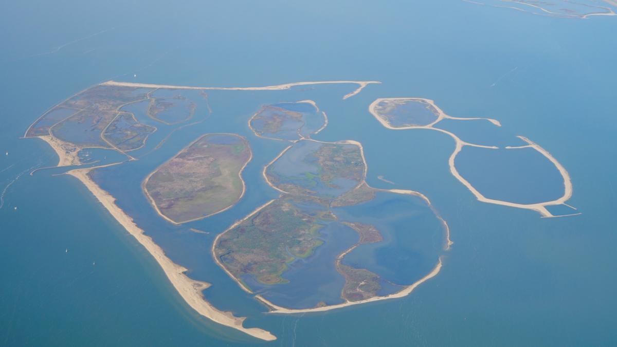 Olanda: 37 de milioane tone de lac, acum insule cu mii de păsări