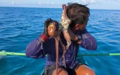 Caracatiță pe față: Pescarii din Filipine în fața unui atac neașteptat
