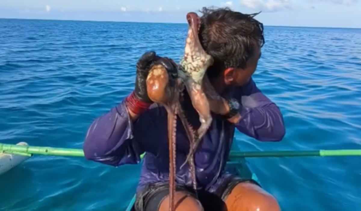 Caracatiță pe față: Pescarii din Filipine în fața unui atac neașteptat