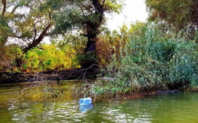 Horeca, disperată: Canalul Uzlina, blocat, afectează afacerile din Deltă