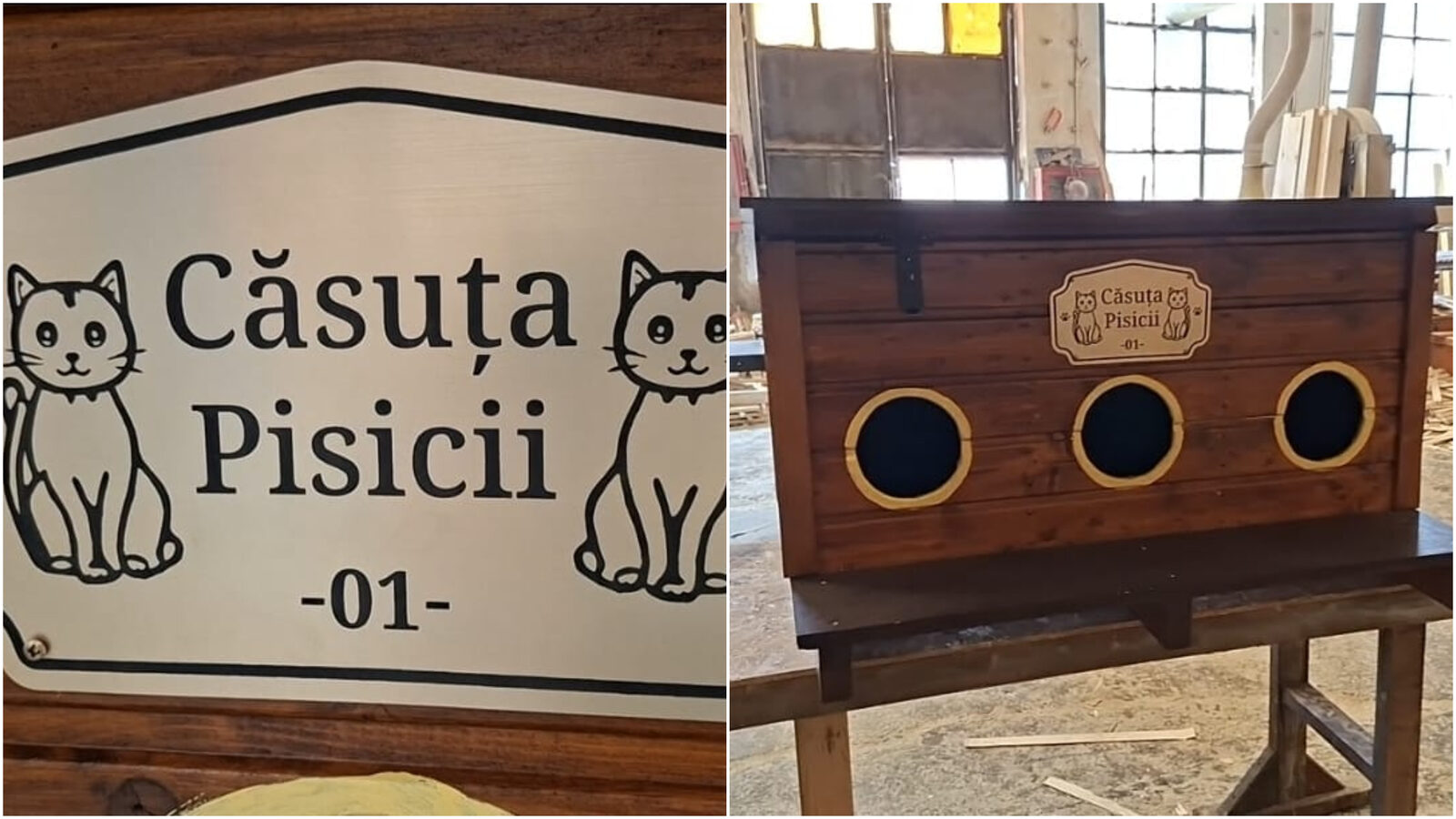 Arad: Adăposturi gratis pentru pisicile străzii