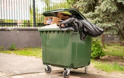 Tomberoane fără muște: Trucuri rapide pentru zilele călduroase