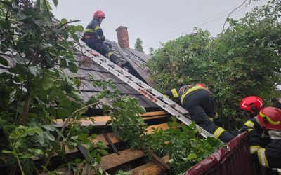 Vânt puternic distruge Suceava: acoperișuri zburate, copaci căzuți