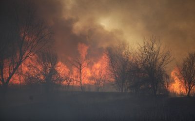 Incendiu masiv în Caraș-Severin, pericol spre localități