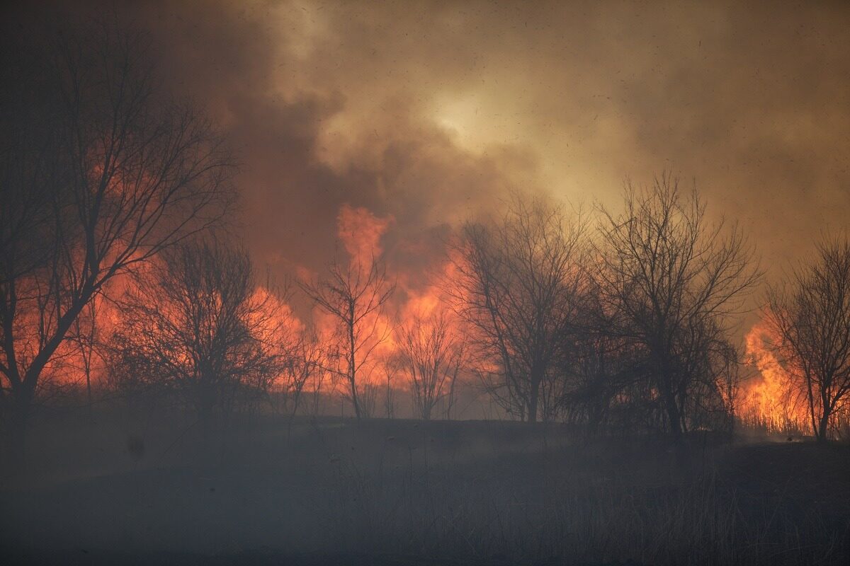 Incendiu masiv în Caraș-Severin, pericol spre localități