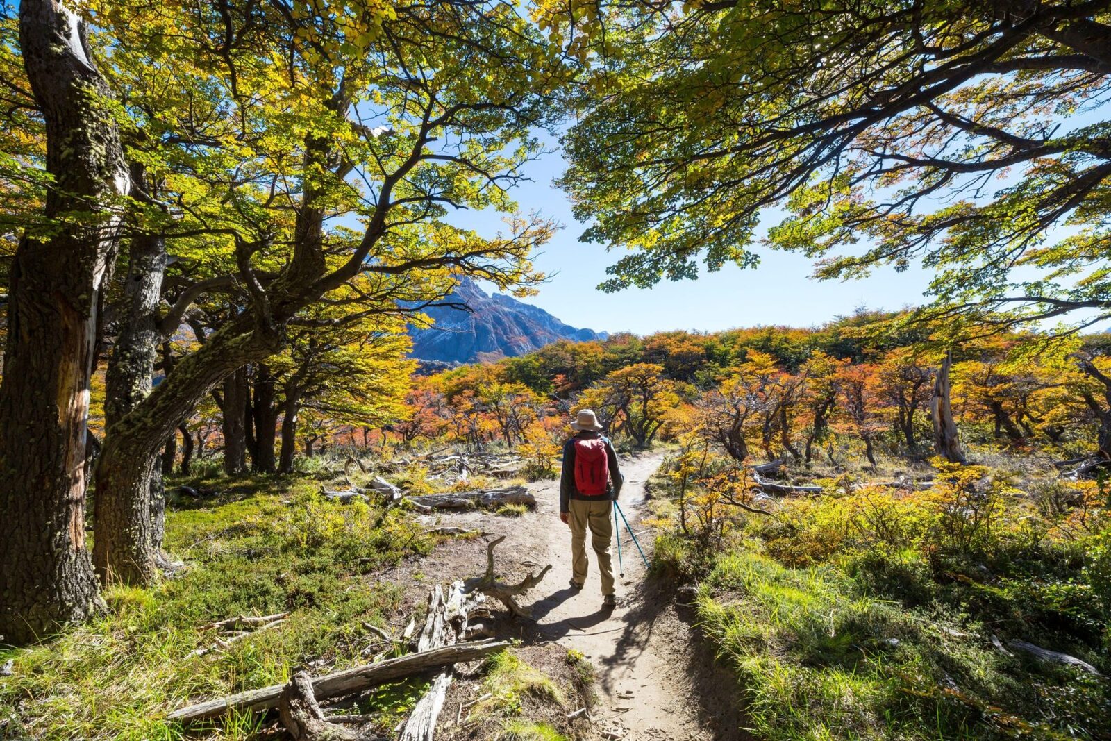 Toamnă spectaculoasă: Cele mai frumoase trasee din Europa