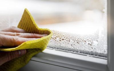 Umiditate în casă? Semnele ascunse înainte de mucegai