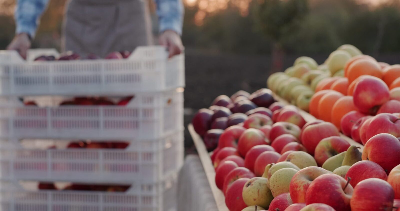 România, nectarul abundent, dar importat. Prețul a scăzut la 3,5 lei/kg