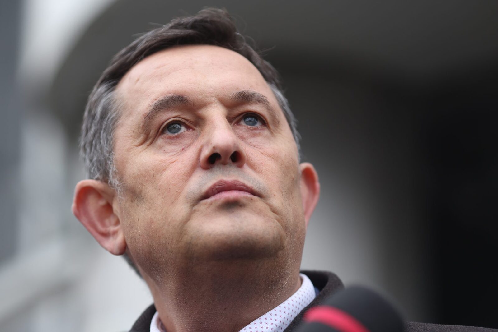 AUR pune condiții lui PSD: Fără șopârle! Piperea explică
