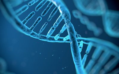 ADN-ul gunoi: Mină de AUR contra cancerului