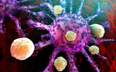 Cancer agresiv: Cercetătorii, pe firul mecanismului de supraviețuire