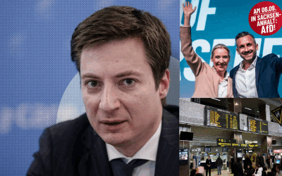 Caramitru, atac la diaspora germană după victoria AfD