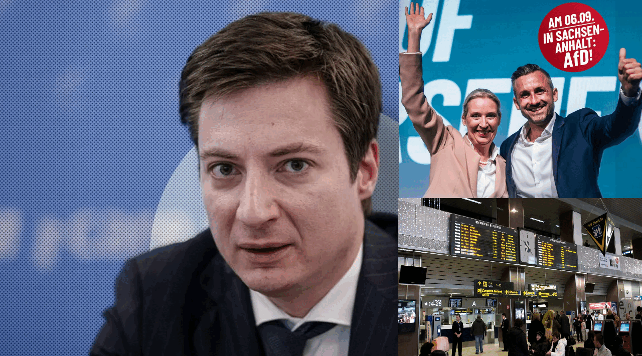 Caramitru, atac la diaspora germană după victoria AfD