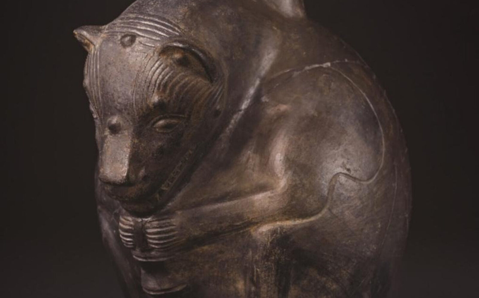 Câine antic, 1.200 de ani, redescoperit în Peru