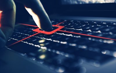 Platformă Guvern: Date Personale și CNP-uri, Expuse Public