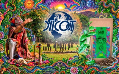 DIICOT sparge cercul șamanilor din Hunedoara: Ayahuasca și promisiuni medicale false