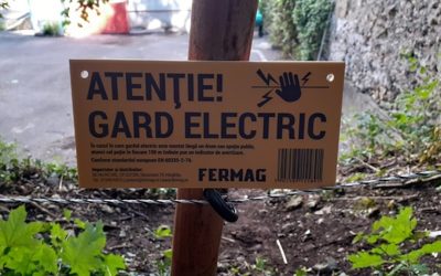 Gardul anti-urs din Râșnov, sabotat de om: Ursoaica coboară în localitate