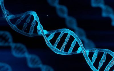 Șoc în genetică: OCD, Tourette și autism, aceleași rădăcini