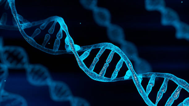 Șoc în genetică: OCD, Tourette și autism, aceleași rădăcini