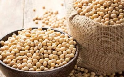 Menopauză: Alimentul-minune ce imită estrogenul zilnic