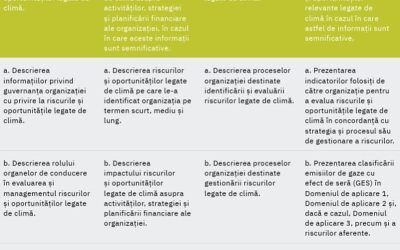 BVB explică raportarea ESG: Ghid complet și reguli