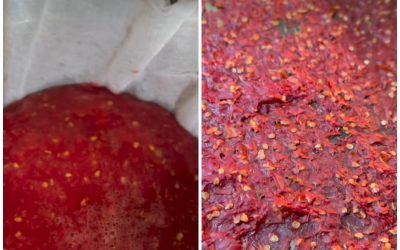 Bulionul de roșii: Secretul gustului perfect în bucătăria ta