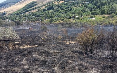 Incendiu Vaslui: 12 ha arse, 7 case salvate