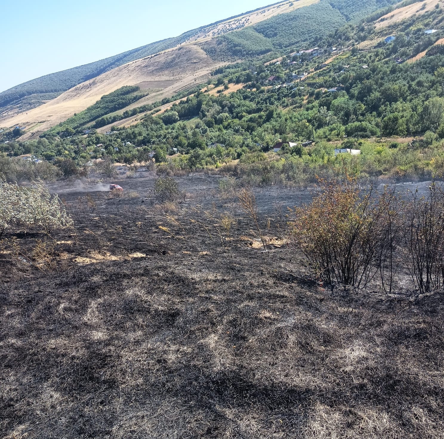 Incendiu Vaslui: 12 ha arse, 7 case salvate