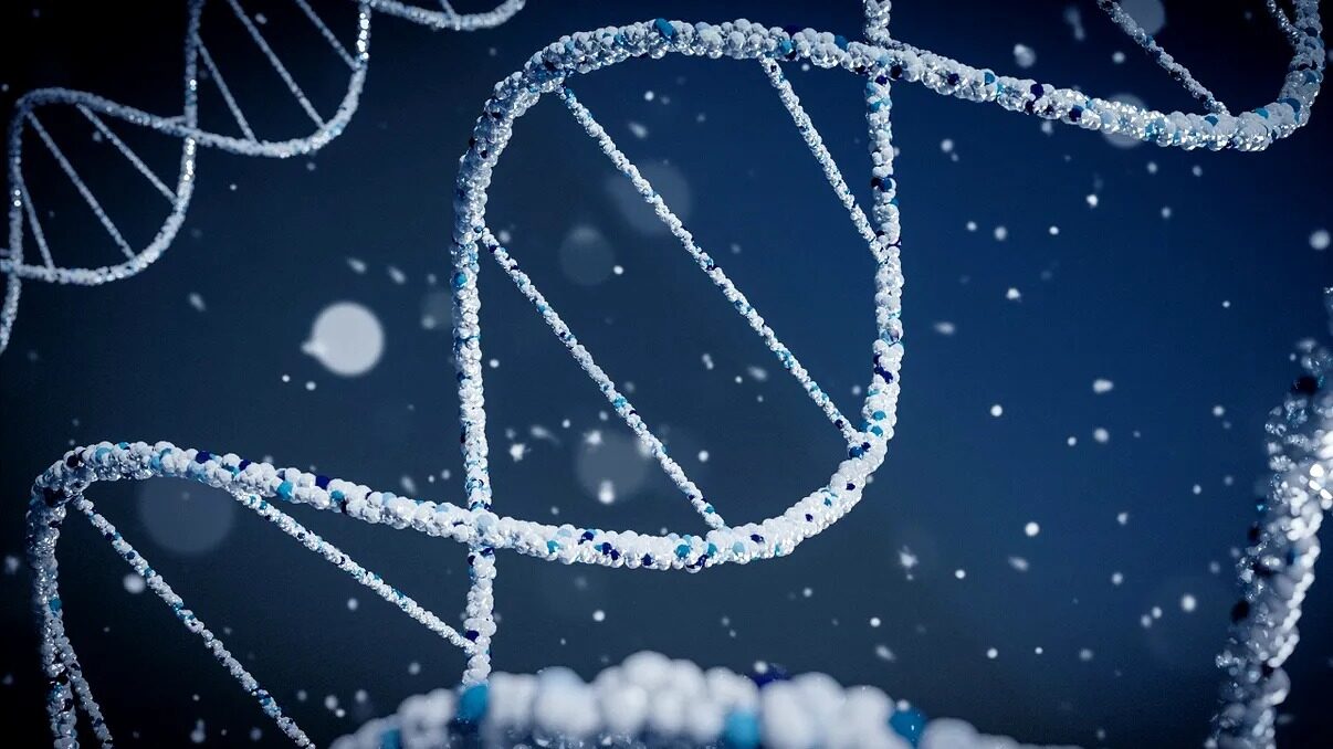 Celulele canceroase, un pas greșit: ADN-ul circular, ținta tratamentelor